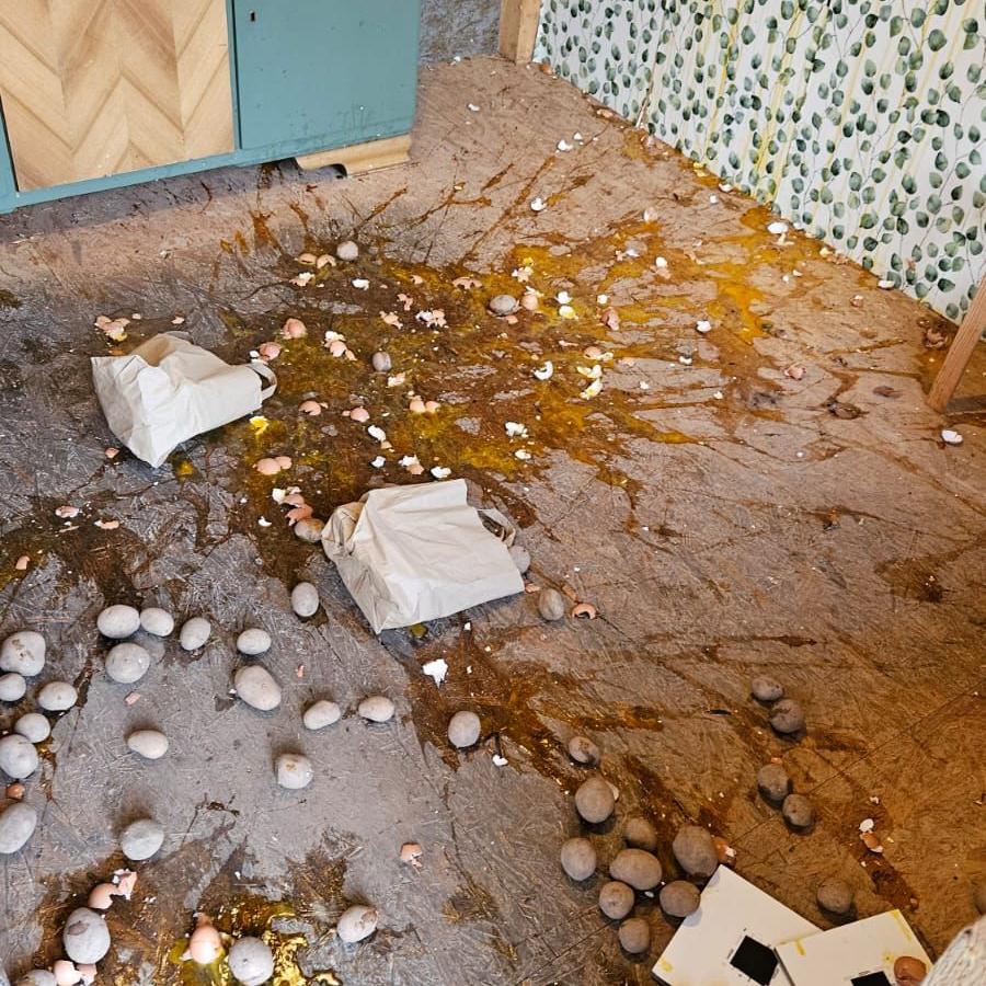 3Vandalismus Verkaufshütte
